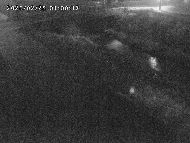 北川１2026/02/25 2:30:00