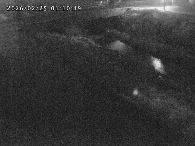 北川１2026/02/25 2:30:00