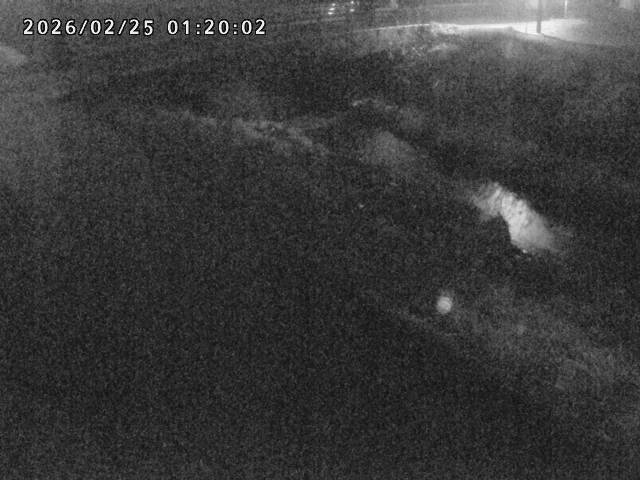 北川１2026/02/25 2:30:00