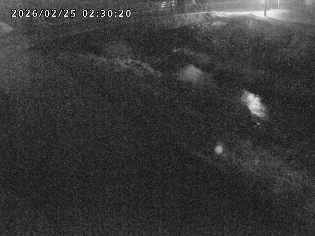 北川１2026/02/25 2:30:00