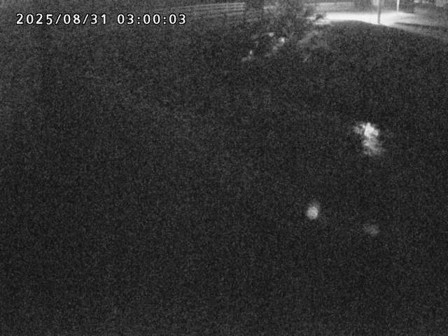 北川１2025/08/31 9:00:00