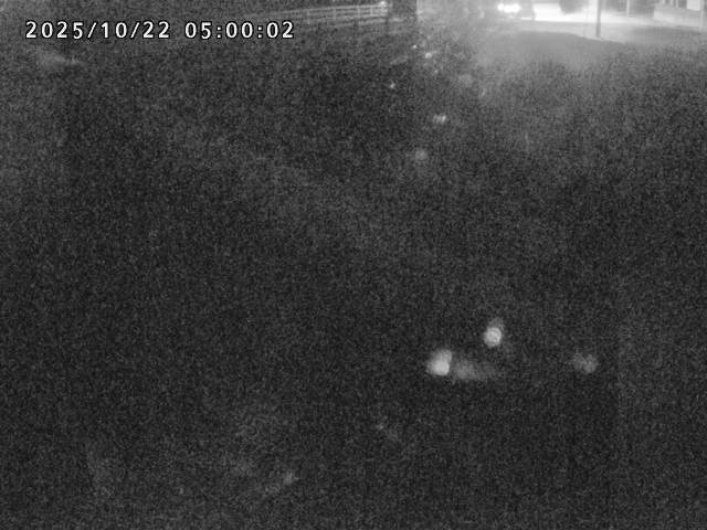 北川１2025/10/22 11:20:00