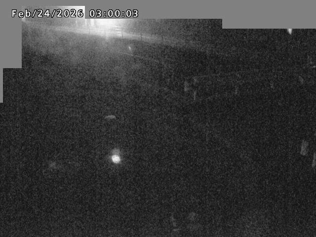 江東川１2026/02/25 2:40:00