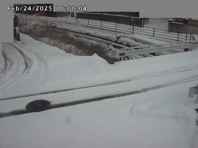 江東川１2026/02/25 2:40:00