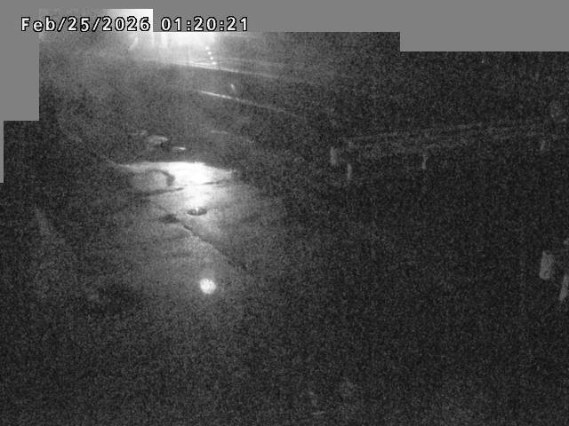 江東川１2026/02/25 2:40:00