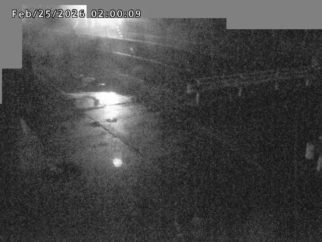 江東川１2026/02/25 2:40:00