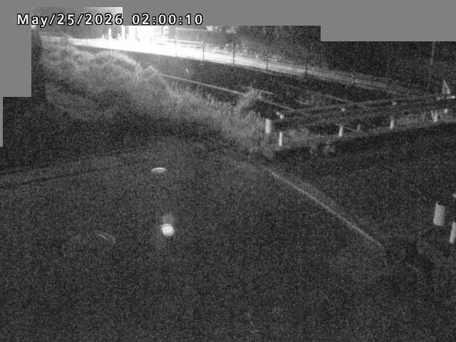 江東川１2026/05/25 21:40:00