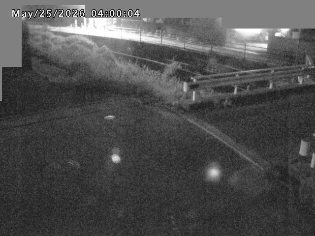 江東川１2026/05/25 21:40:00