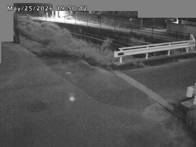 江東川１2026/05/25 21:40:00