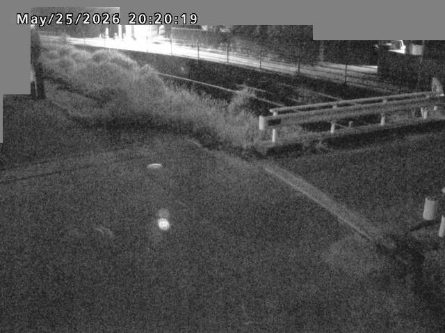 江東川１2026/05/25 21:40:00