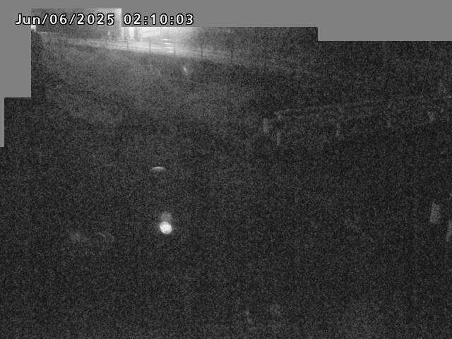 江東川１2025/06/06 2:40:00