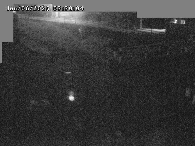 江東川１2025/06/06 3:30:00