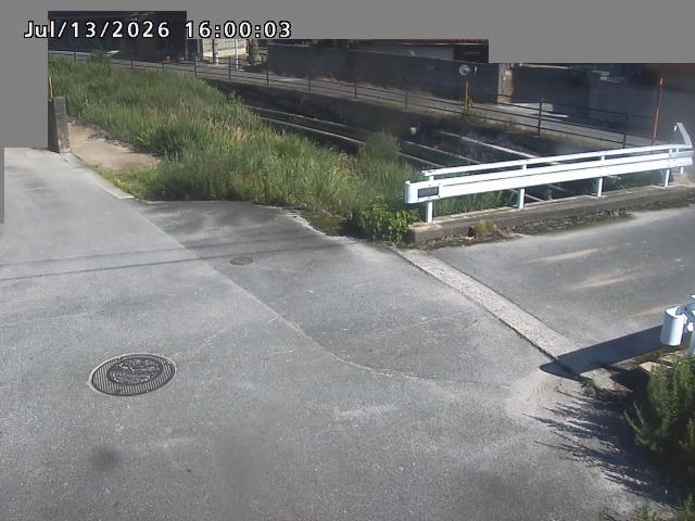 江東川１2026/07/14 15:20:00
