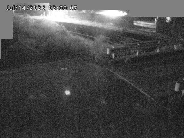 江東川１2026/07/14 15:20:00