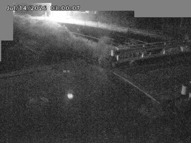 江東川１2026/07/14 15:20:00