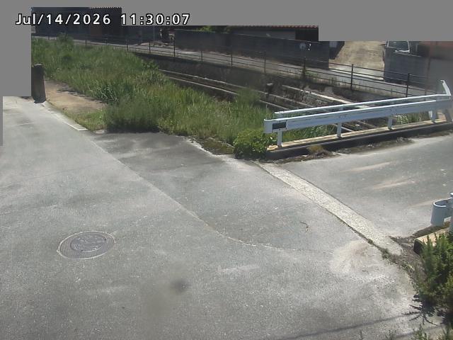 江東川１2026/07/14 15:20:00