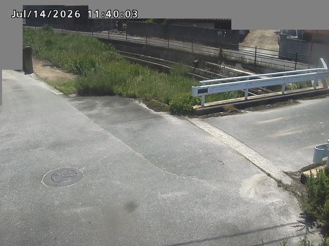 江東川１2026/07/14 15:20:00