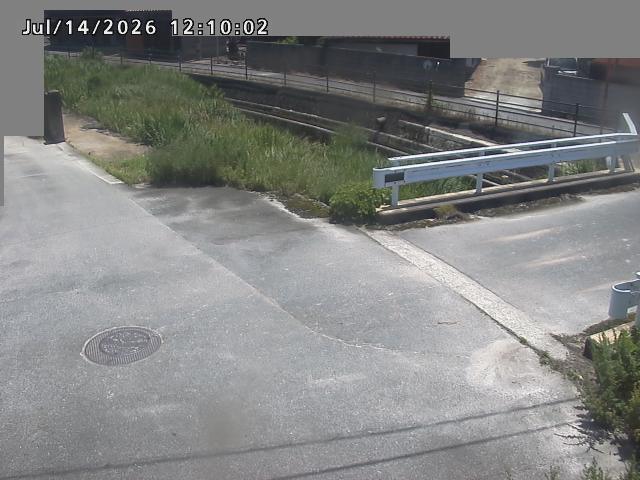 江東川１2026/07/14 15:20:00