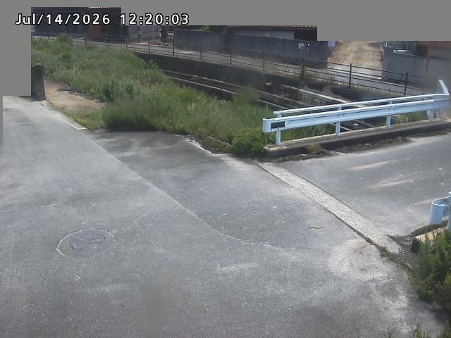 江東川１2026/07/14 15:20:00