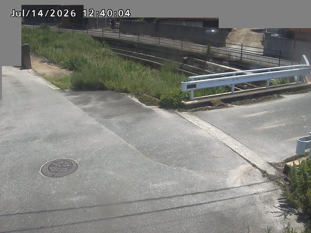 江東川１2026/07/14 15:20:00