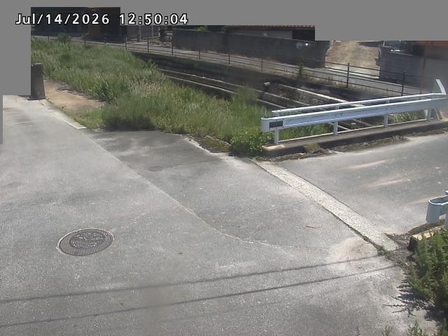 江東川１2026/07/14 15:20:00