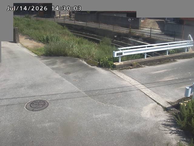 江東川１2026/07/14 15:20:00