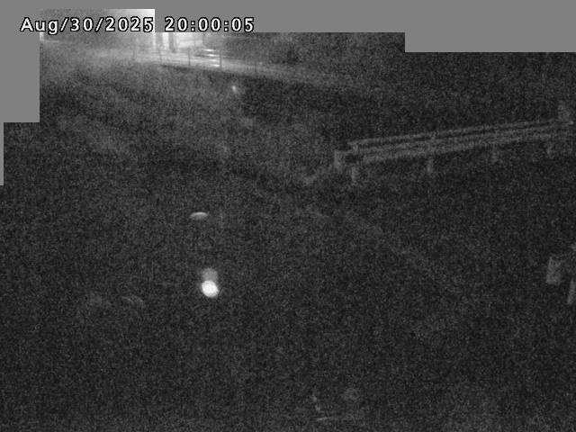 江東川１2025/08/31 9:10:00