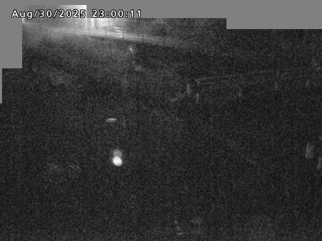 江東川１2025/08/31 9:10:00