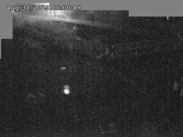 江東川１2025/08/31 9:10:00