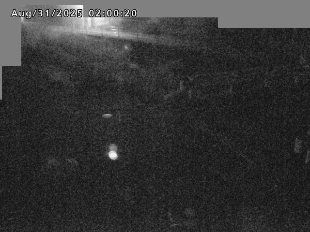 江東川１2025/08/31 9:10:00