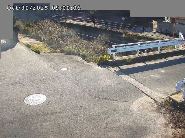 江東川12025/10/31 08:00