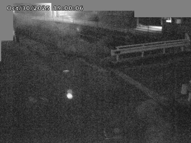 江東川12025/10/31 08:00