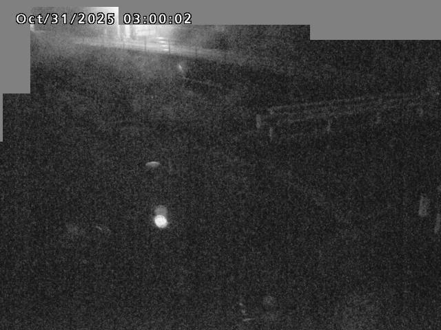 江東川12025/10/31 08:00