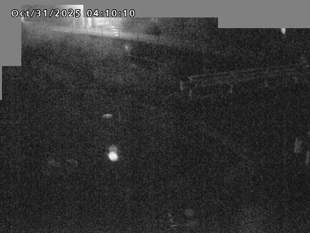 江東川12025/10/31 08:00