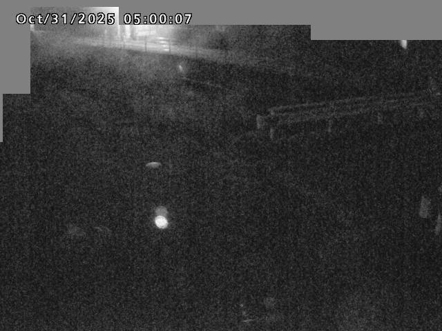 江東川12025/10/31 08:00