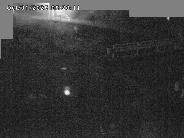 江東川12025/10/31 08:00