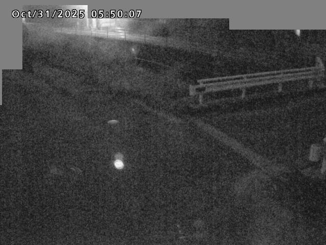 江東川12025/10/31 08:00