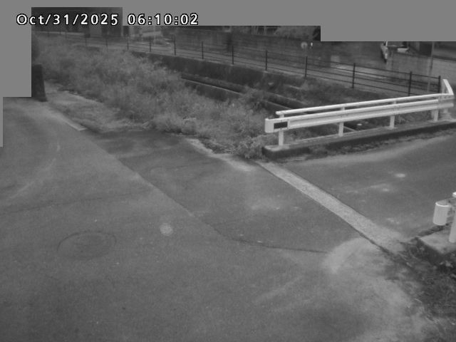 江東川12025/10/31 08:00