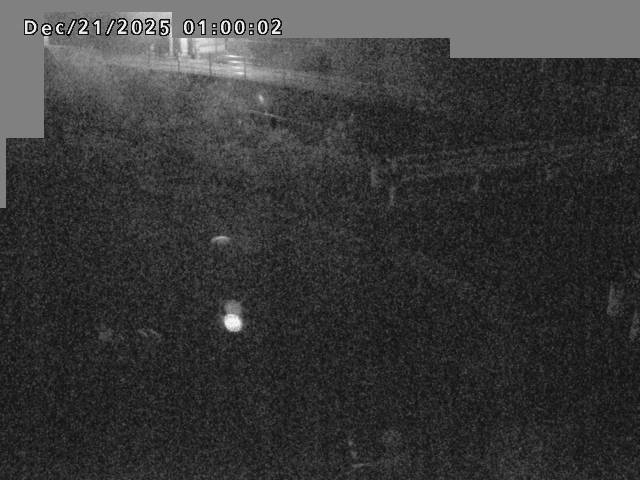 江東川１2025/12/22 1:00:00