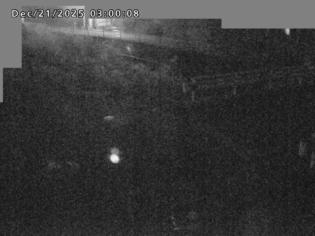 江東川１2025/12/22 1:00:00