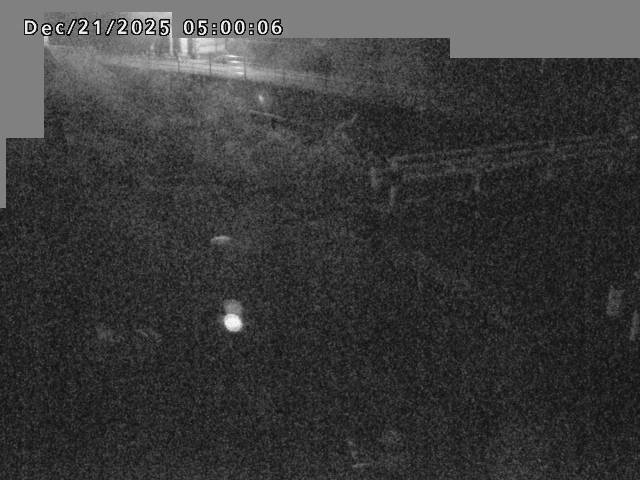 江東川１2025/12/22 1:00:00