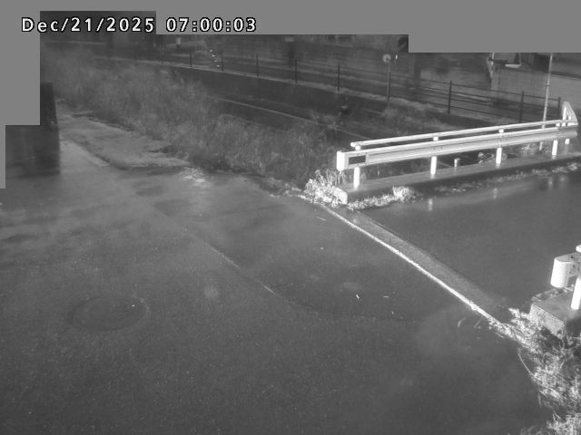 江東川１2025/12/22 1:00:00