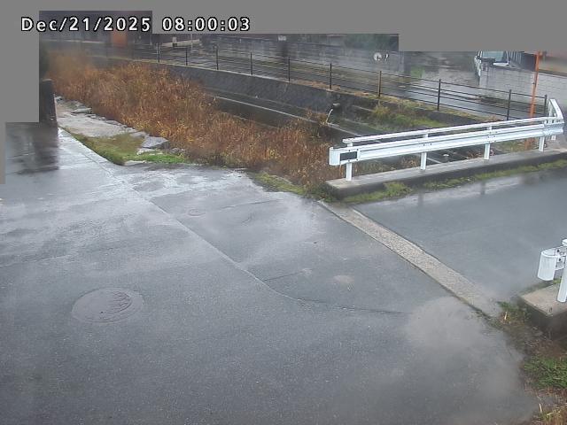 江東川１2025/12/22 1:00:00