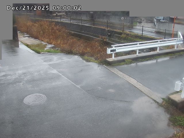 江東川１2025/12/22 1:00:00