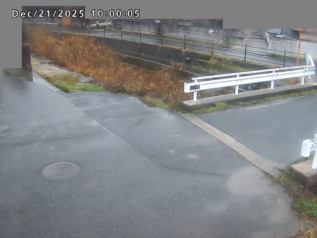 江東川１2025/12/22 1:00:00