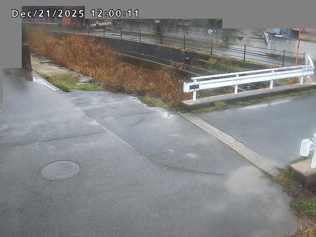 江東川１2025/12/22 1:00:00