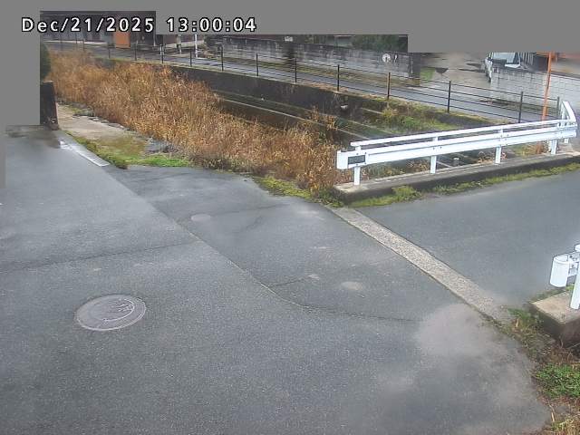 江東川１2025/12/22 1:00:00