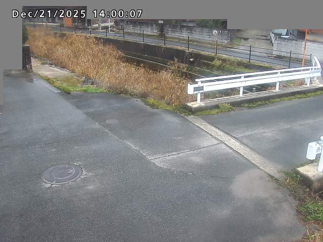 江東川１2025/12/22 1:00:00