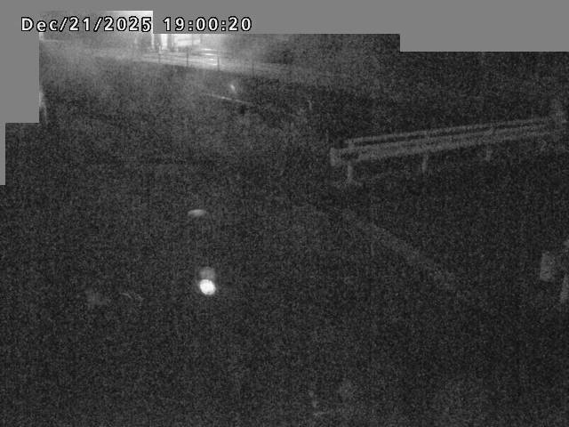 江東川１2025/12/22 1:00:00