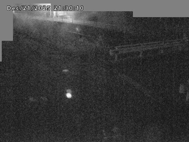 江東川１2025/12/22 1:00:00